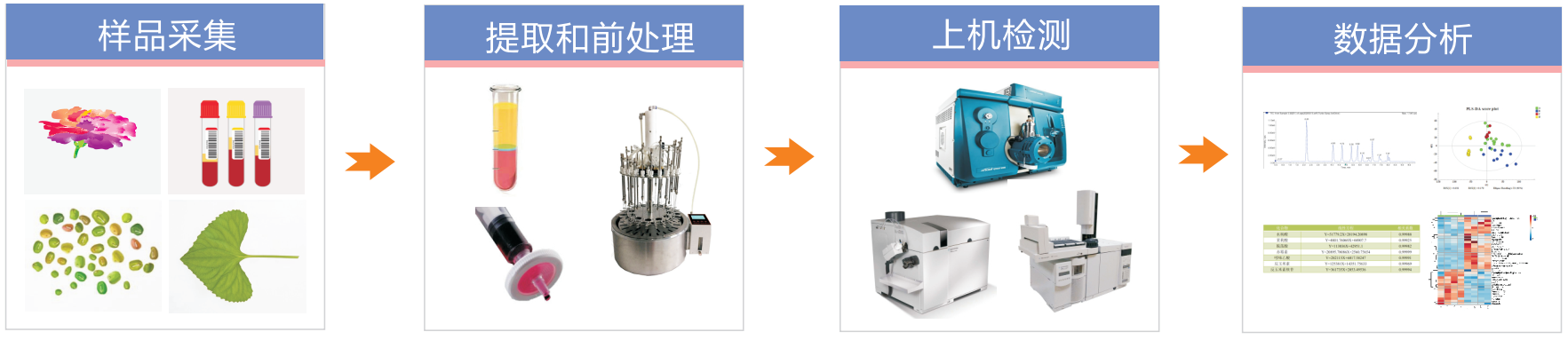 有機酸定量檢測