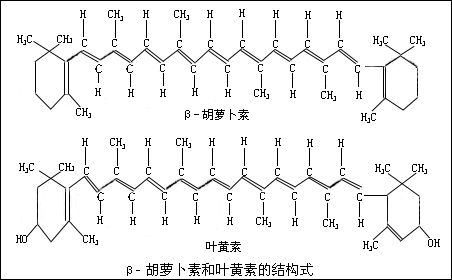 科米代謝 類胡蘿卜素檢測