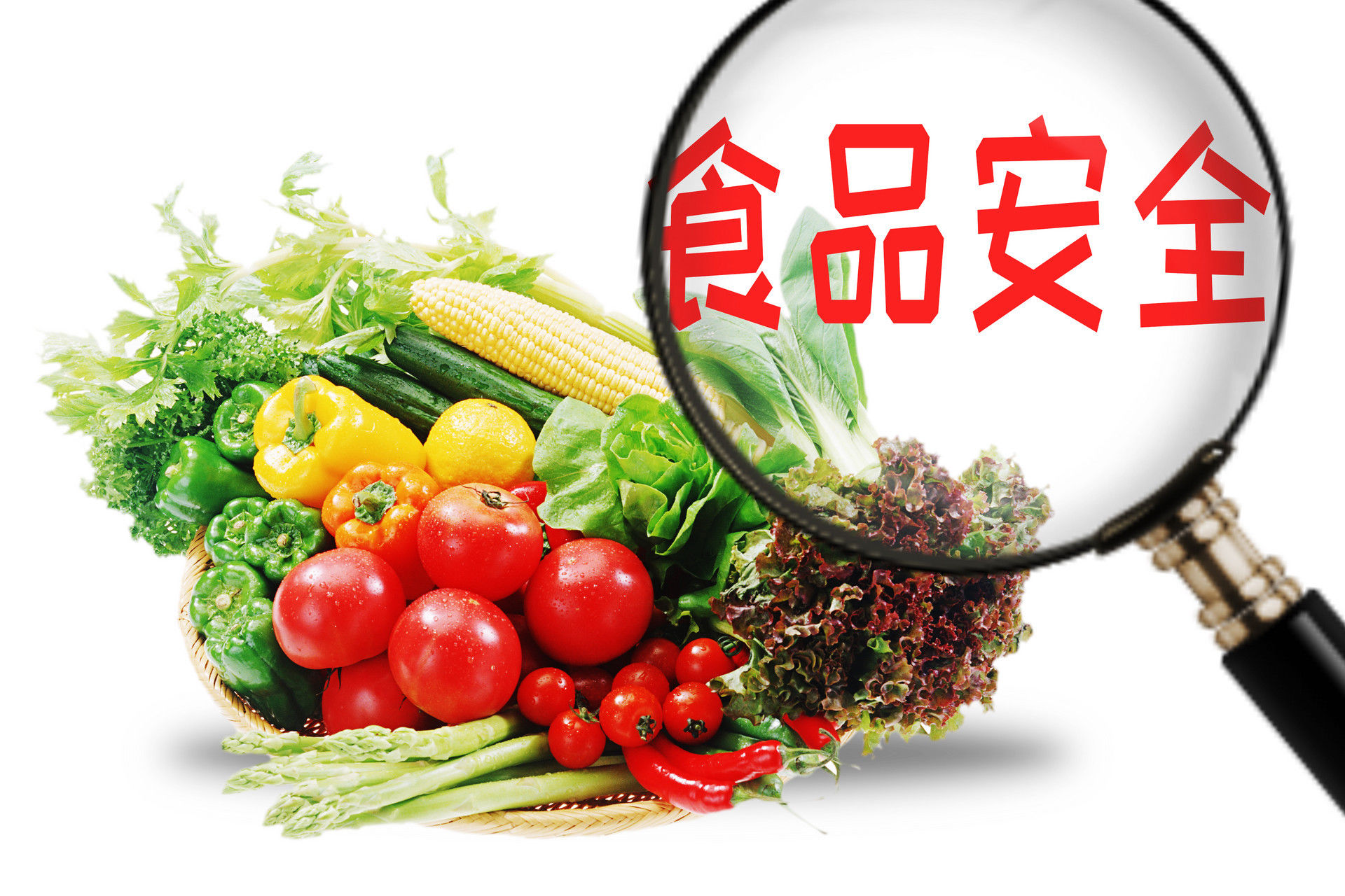 食品安全檢測必要性及安全檢測的應(yīng)用