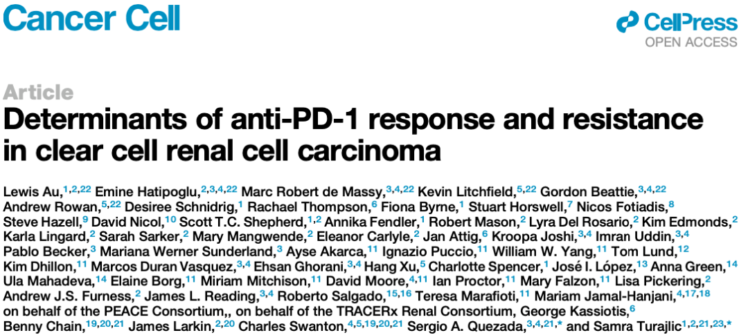 腎透明細(xì)胞癌患者對anti-PD-1響應(yīng)與否的決定性因素