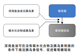 魚(yú)油能護(hù)心血管降血壓，但要控制每日攝入量