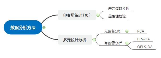 科密代謝 代謝分析的知識相關解讀